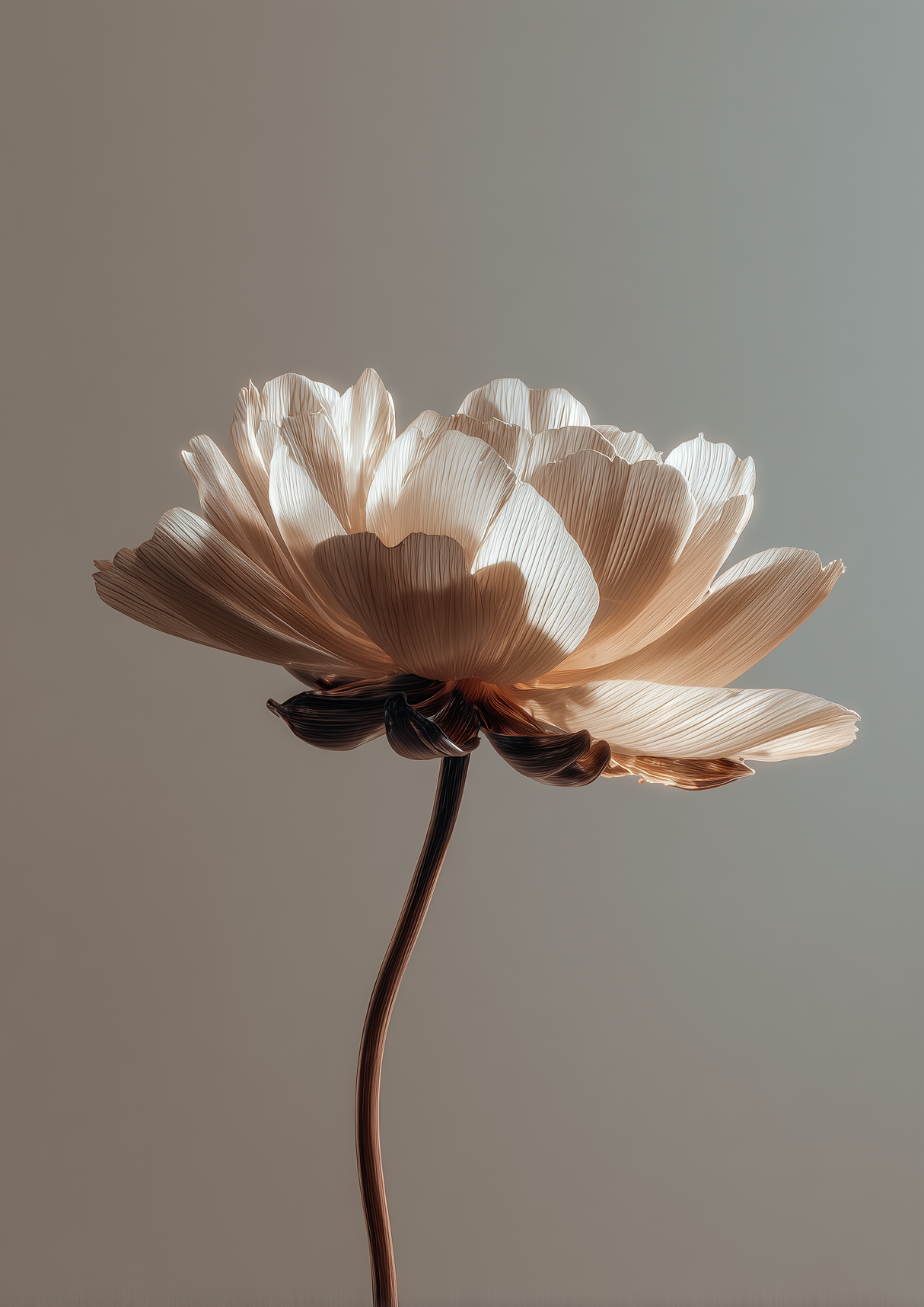 Absolute Bloom Poster