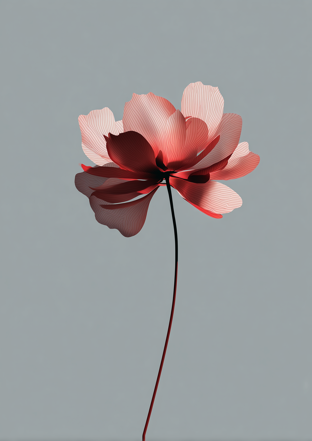 Bloom Poster