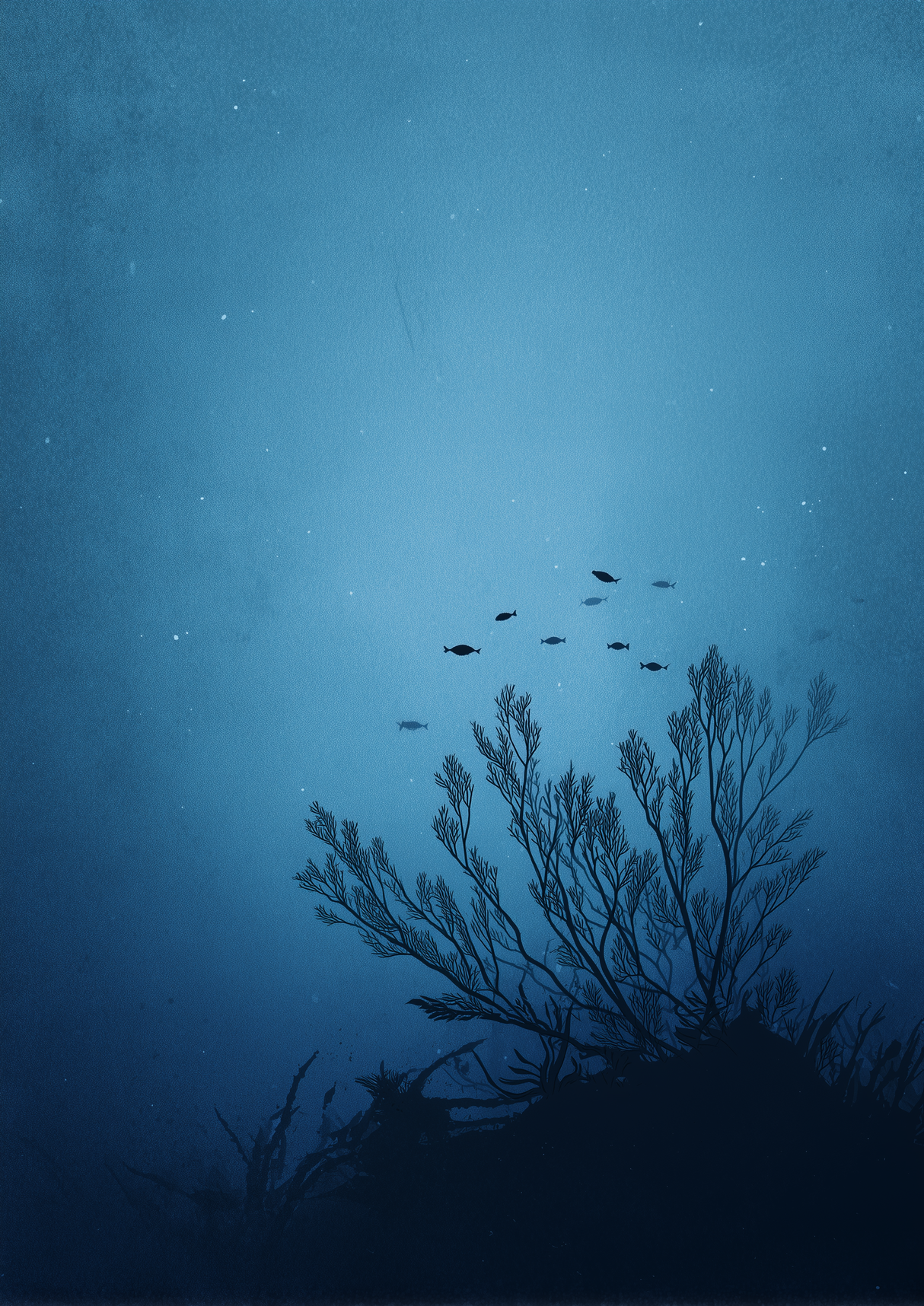 Calm Suspension Poster