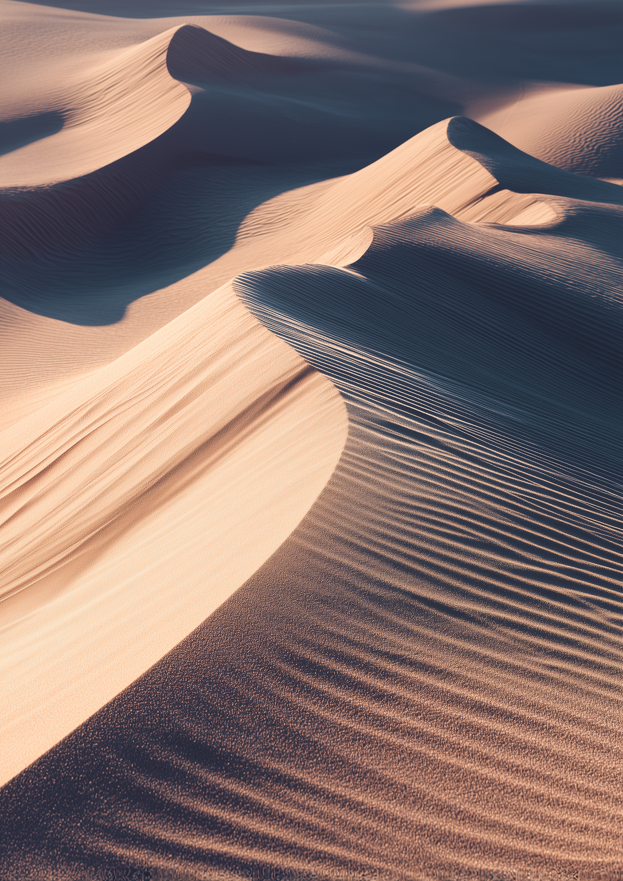 Dune Study Poster