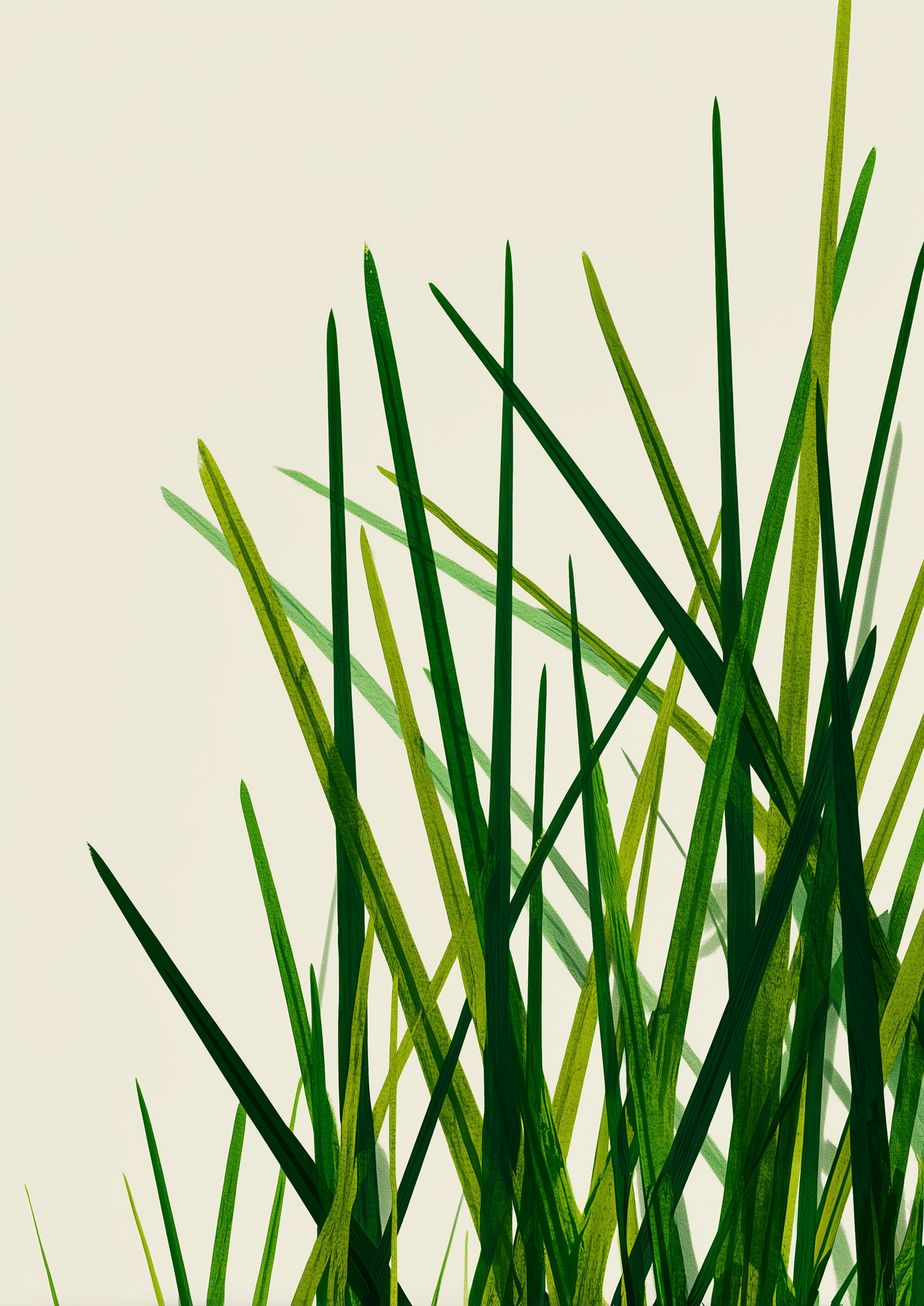 Fern Calm Poster