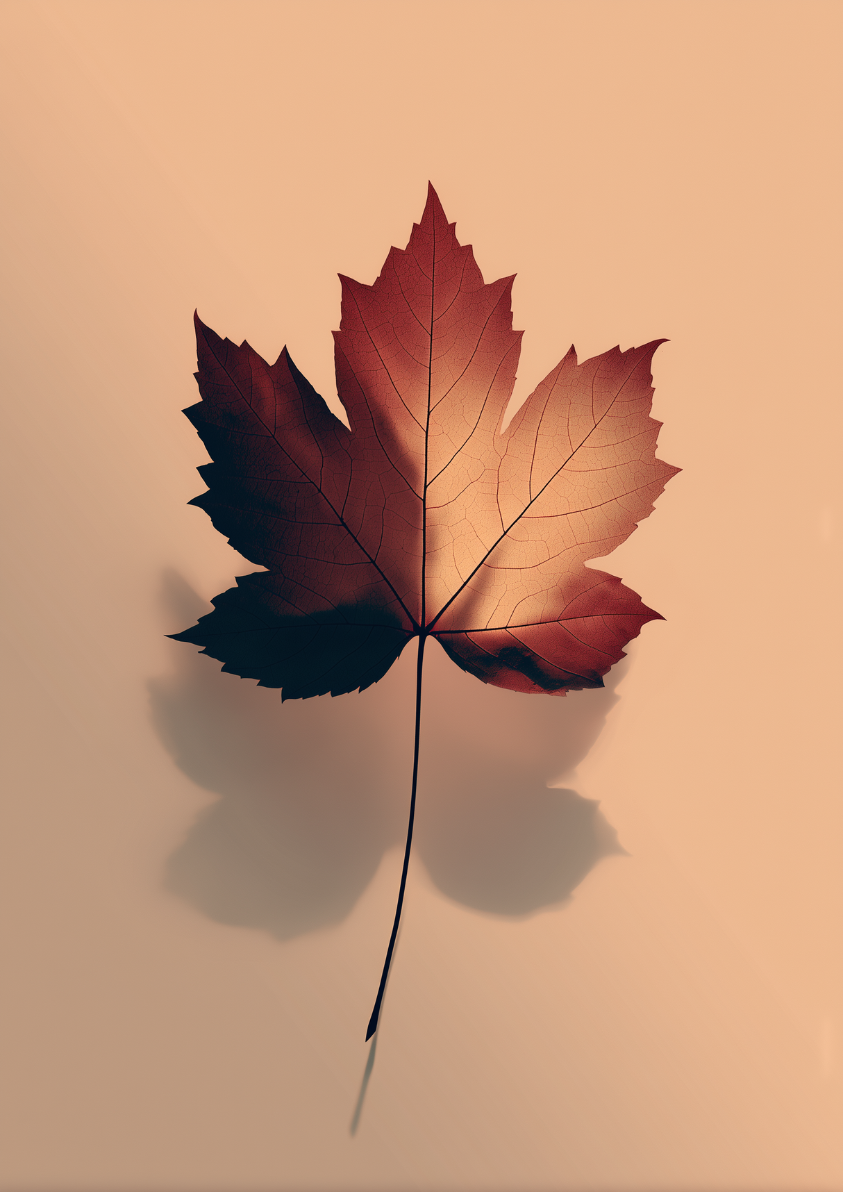 Gentle Vein Poster