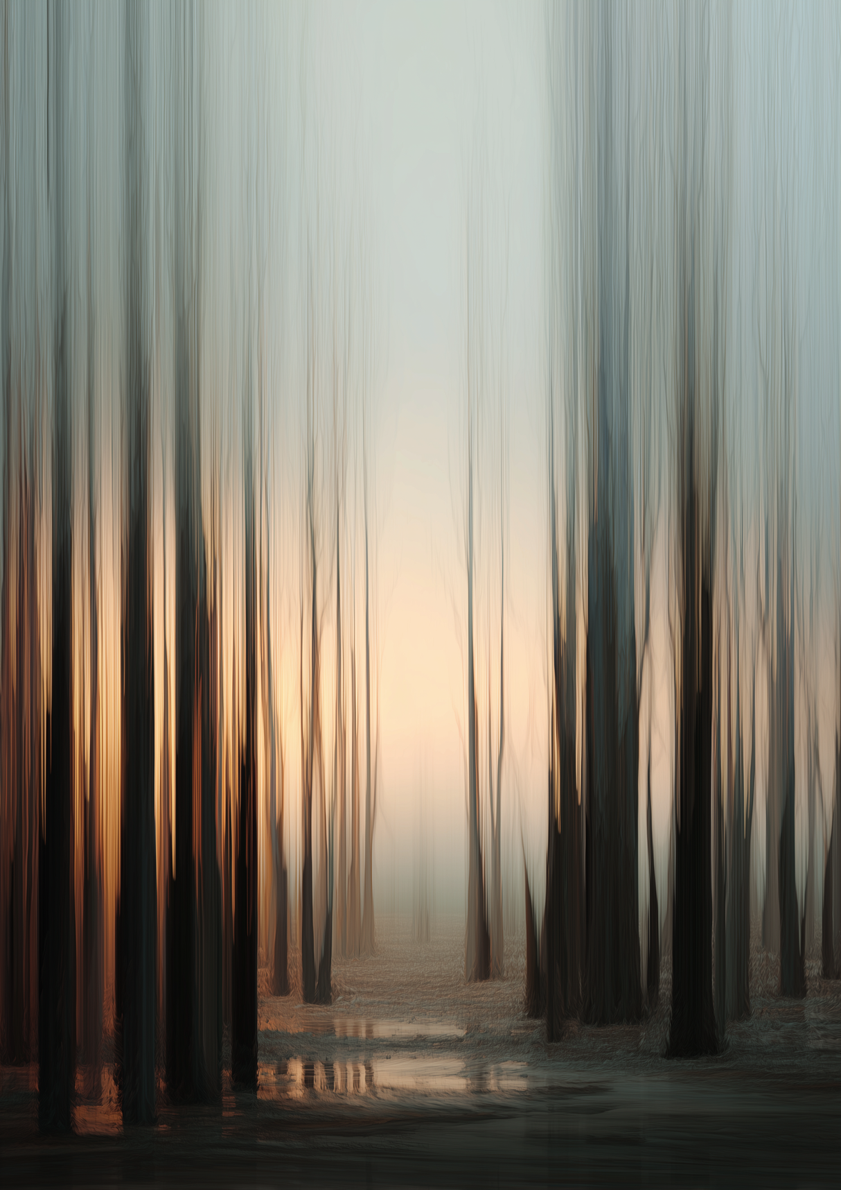Quiet Grove Poster