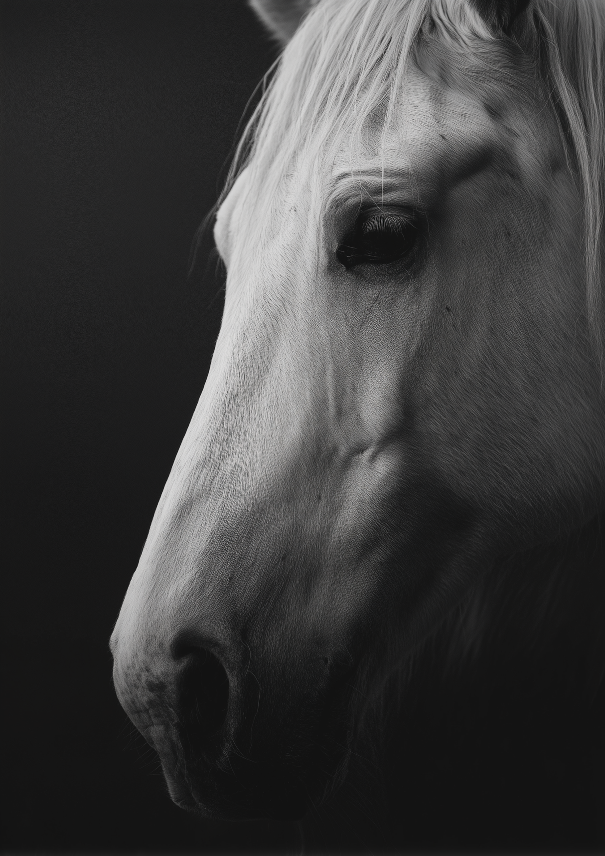 Settled Might Poster