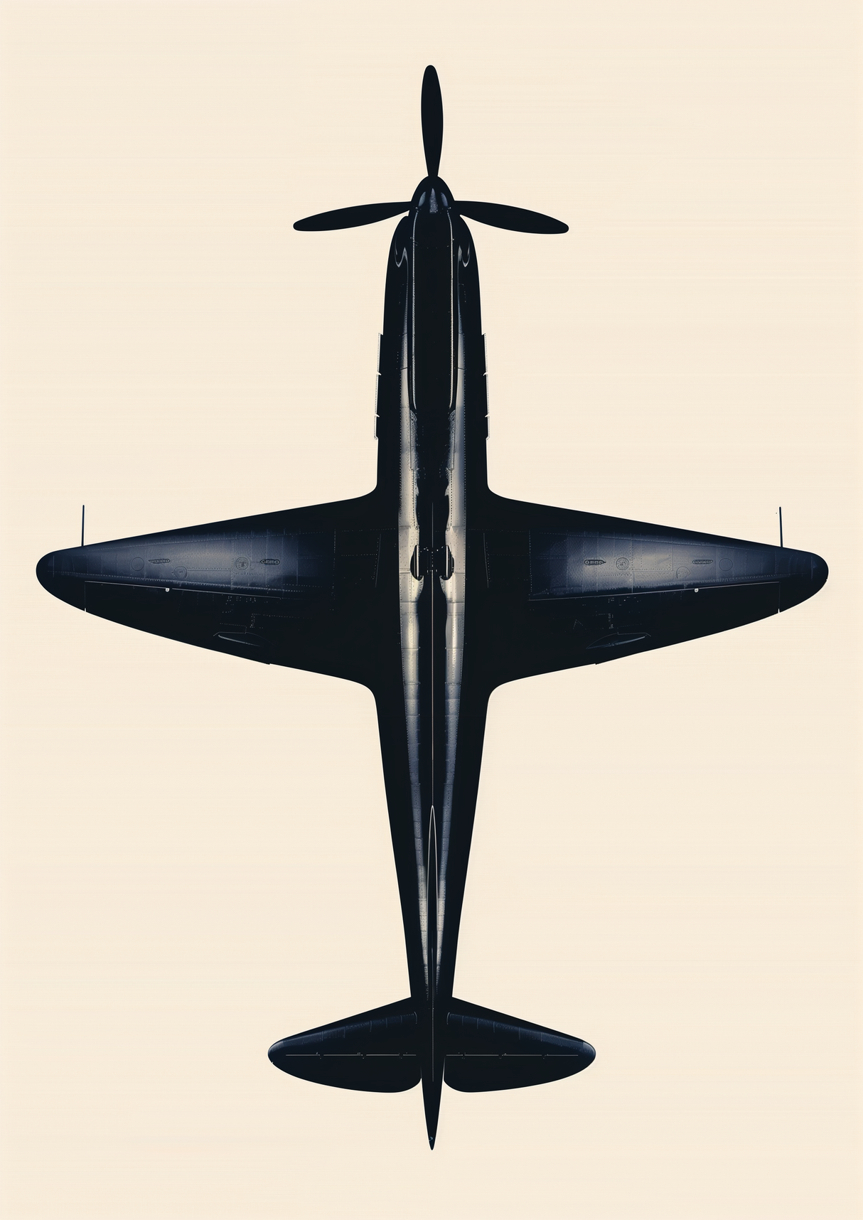 Sunlit Wing Poster