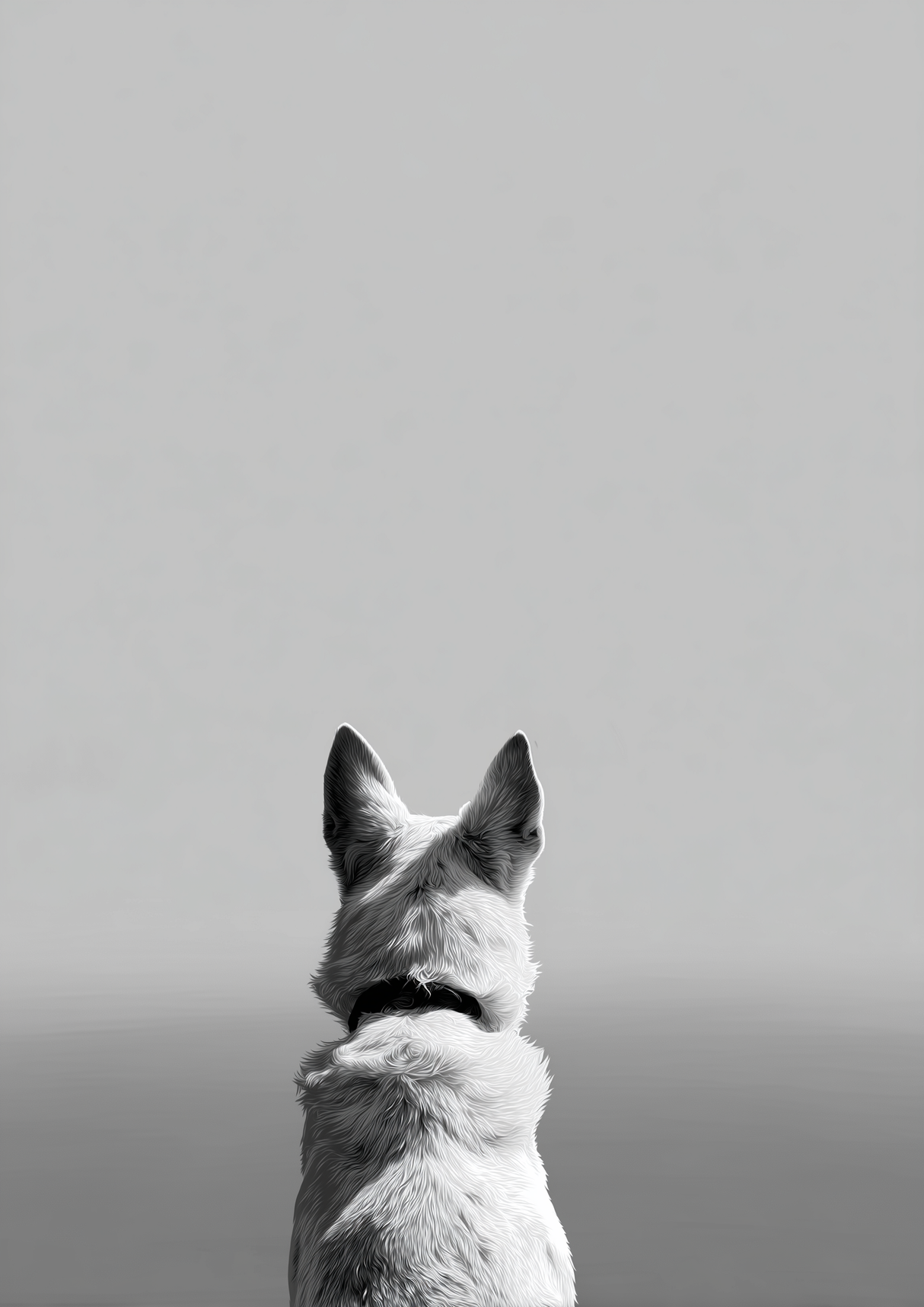 Calm Fidelity Poster