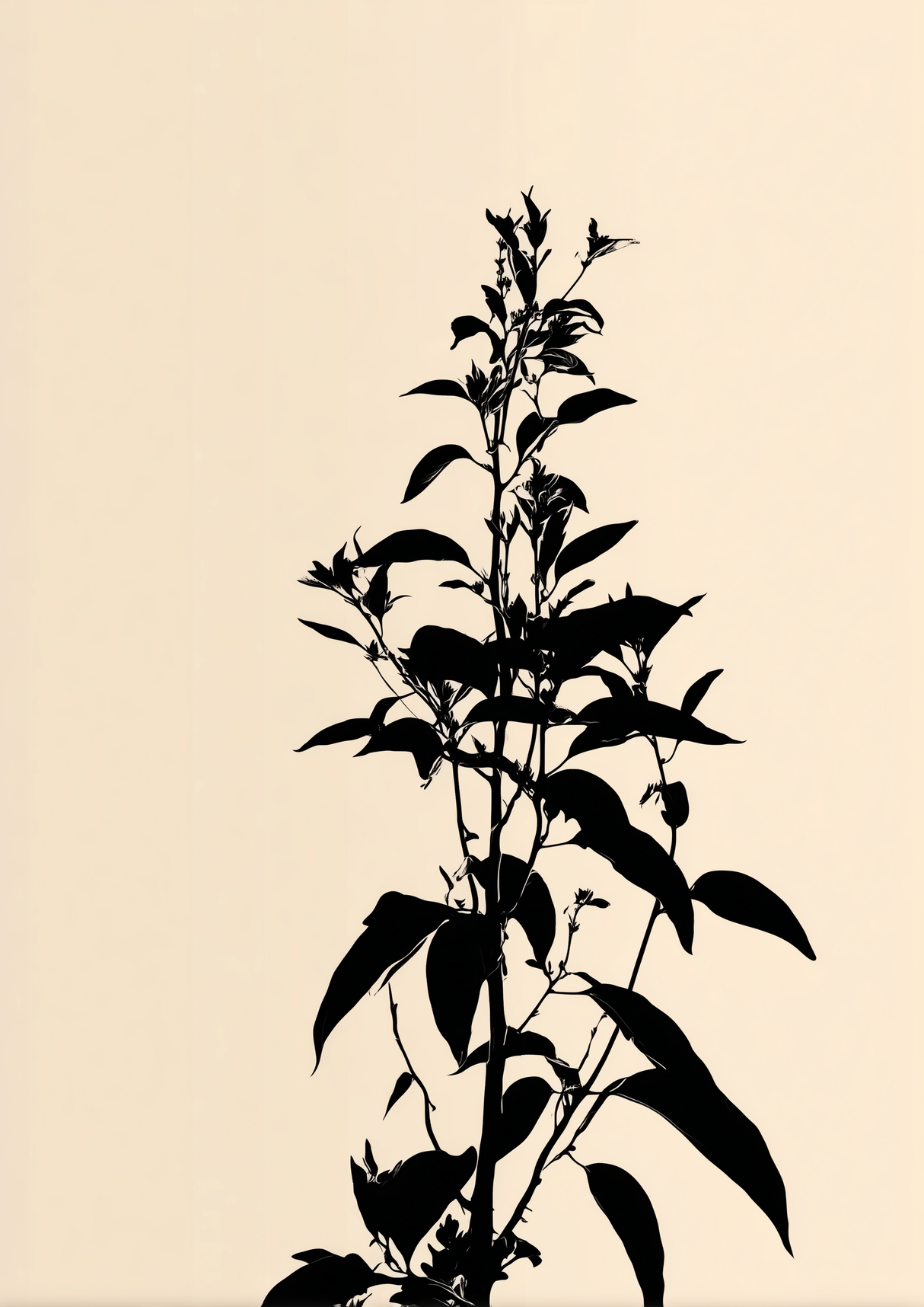 Calm Growth Poster