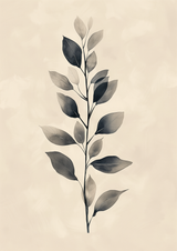 Dorelin Poster