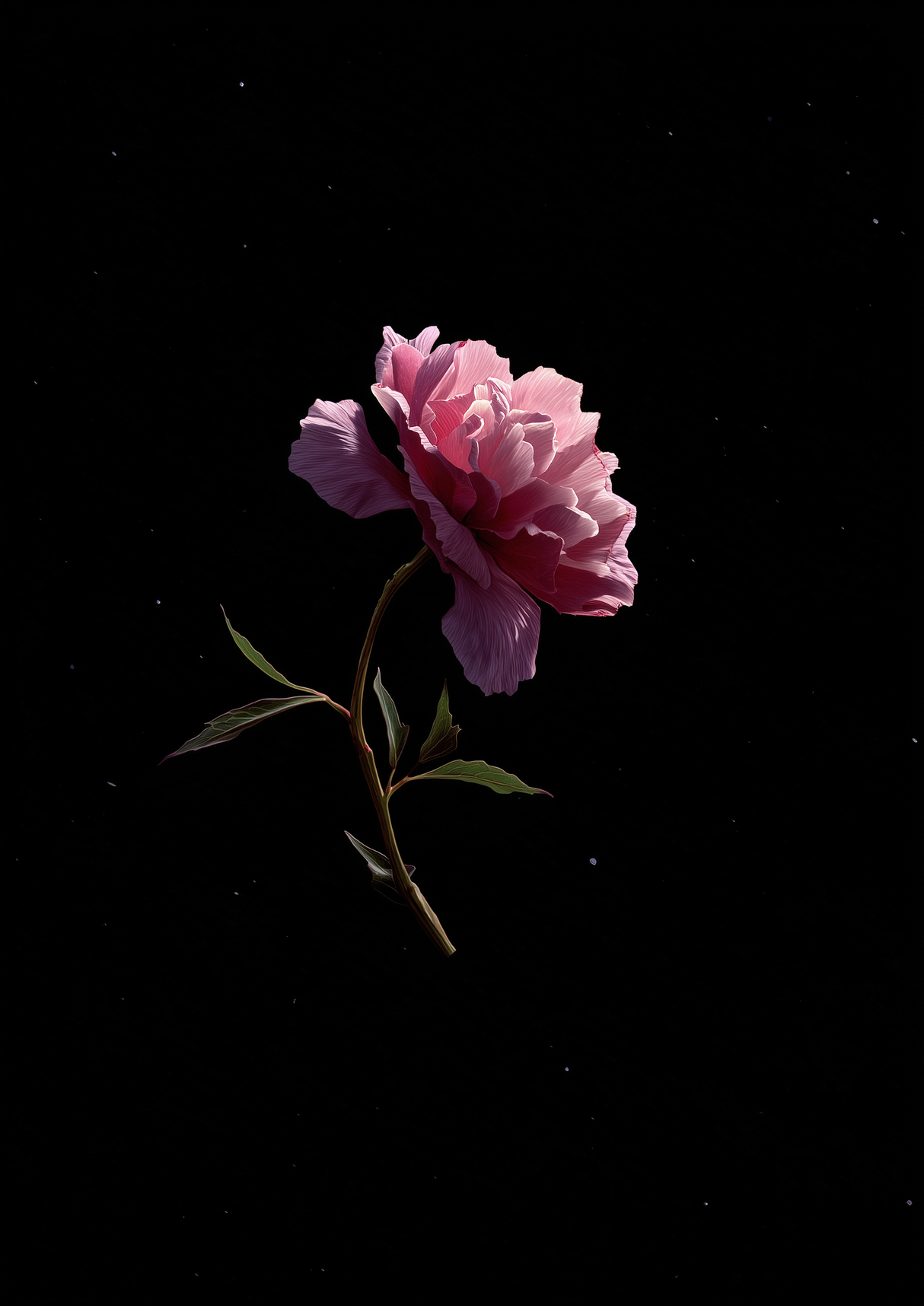 Floral Form Poster