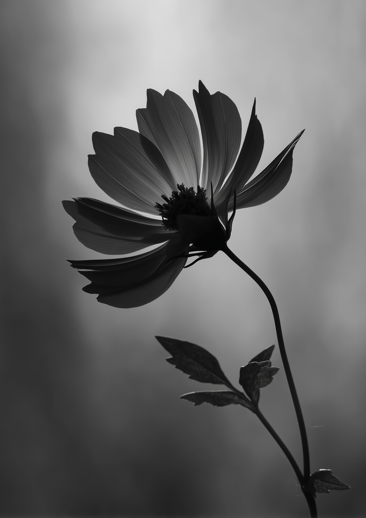 Floral Quiet Poster