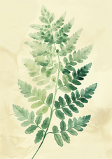 Isorae Poster