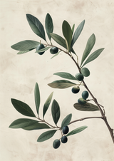 Mirelon Poster