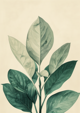 Olienne Poster