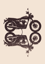 Roadlight Shadow Poster