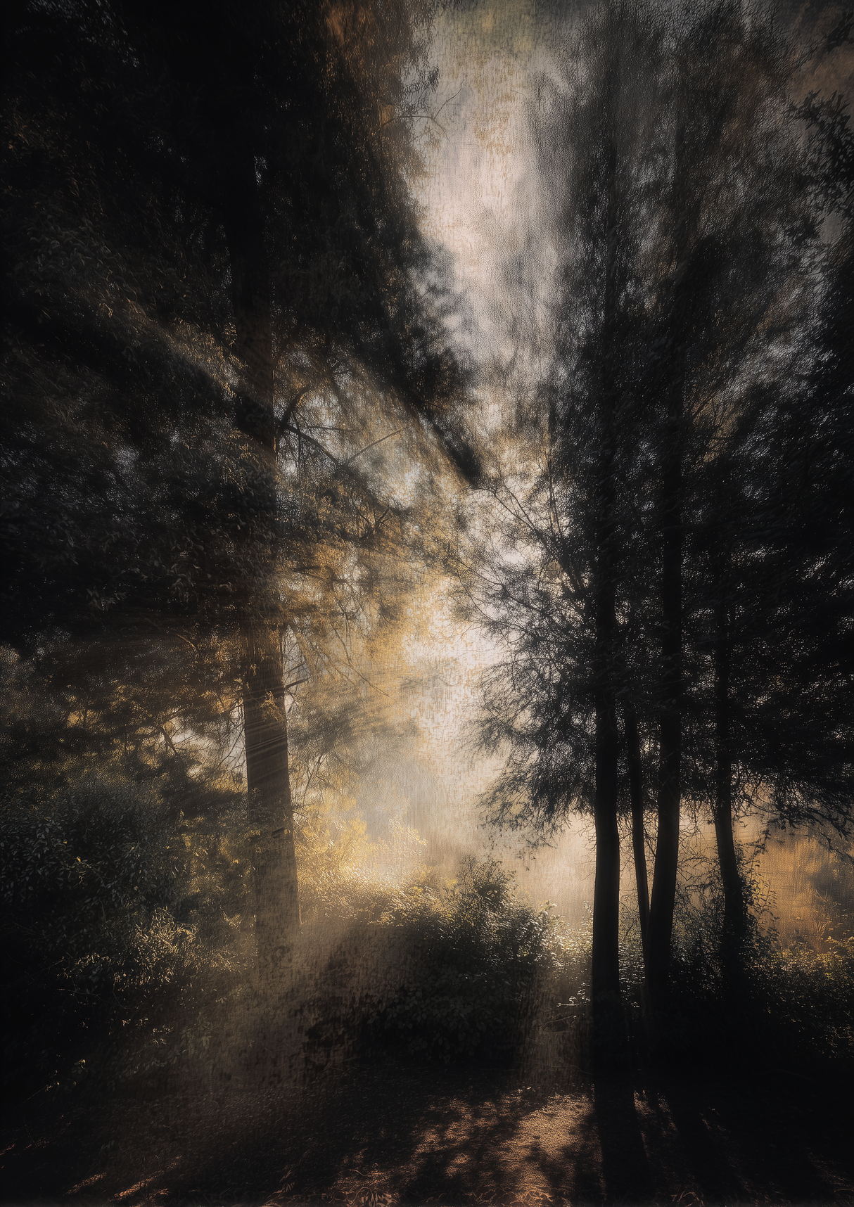 Rooted Air Poster