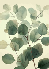 Senellea Poster