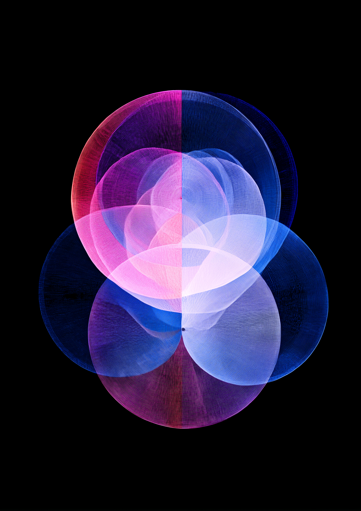 Silent Whole Poster
