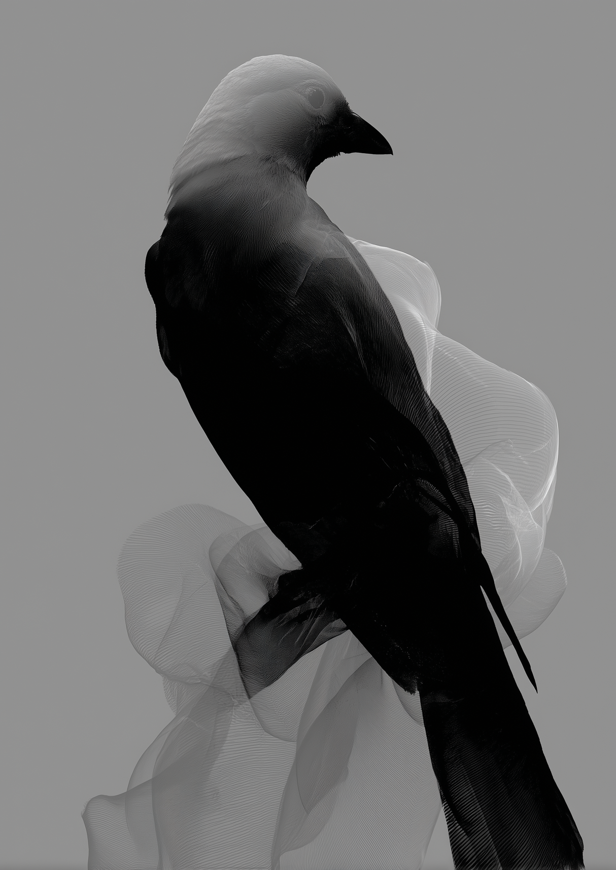 Soft Elevation Poster
