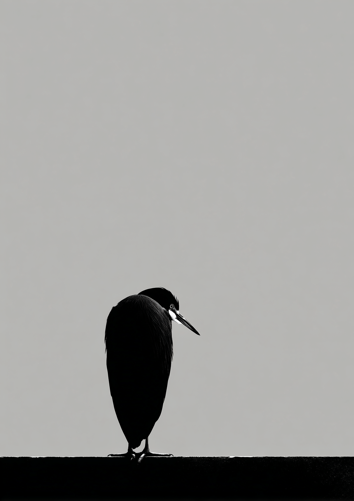 Still Wing Poster