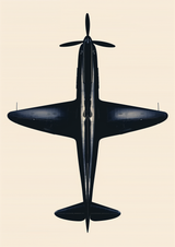 Sunlit Wing Poster