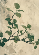 Tavorel Poster