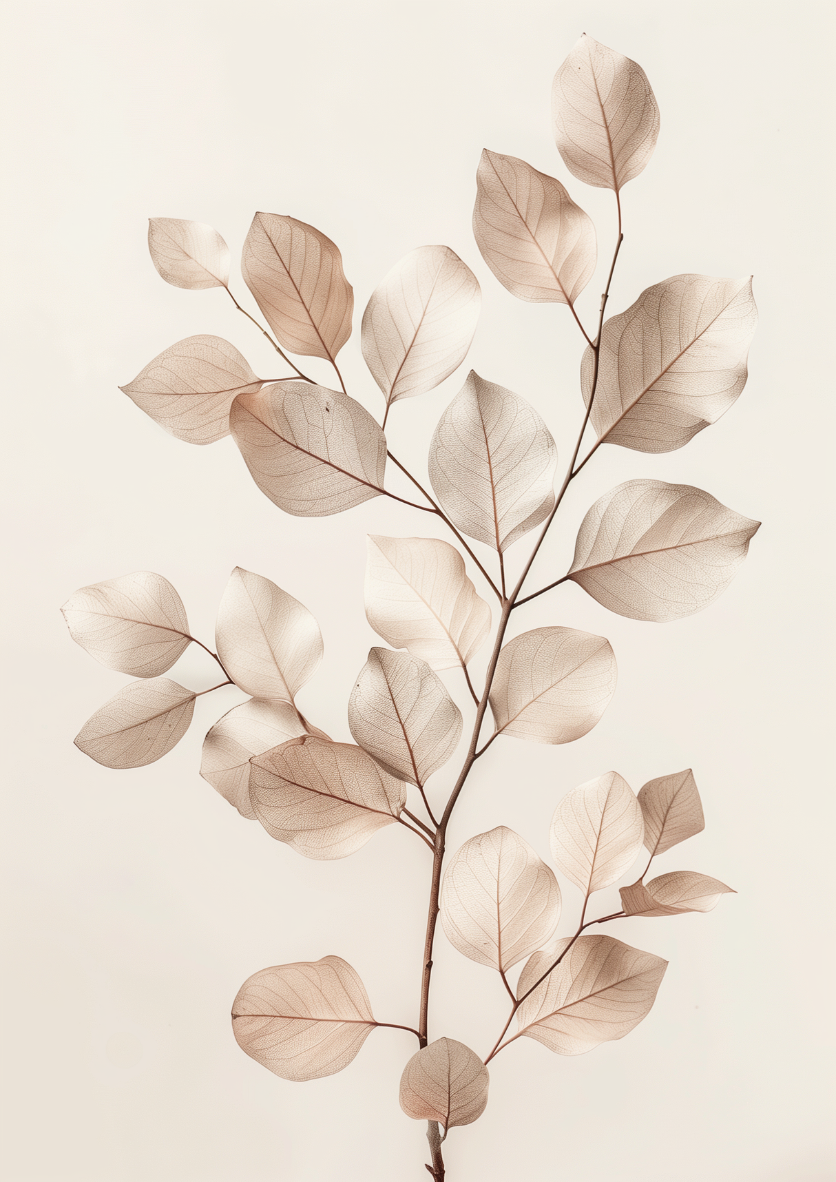 Velorae Poster